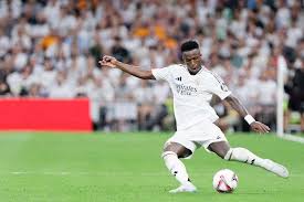 化元素被引 化元素被引